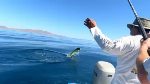 Fun Fishing La Paz (47)