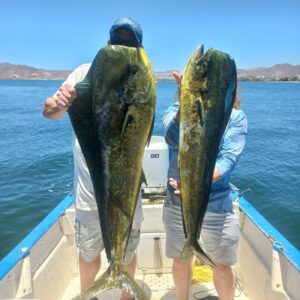 Fun Fishing La Paz (51)