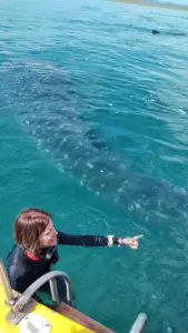 Fun Fishing La Paz (57)